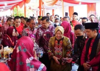 HLUN Dharmasraya Berjalan Sukses, Mensos Serukan Untuk Muliakan dan Rawat Lansia