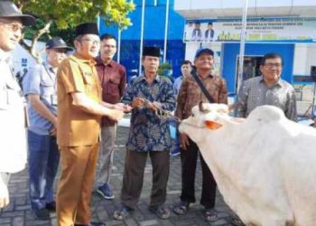 Perumda Air Minum Kota Padang Kali Ini Sebar 73 Ekor Hewan Kurban