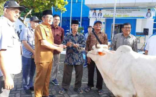 Perumda Air Minum Kota Padang Kali Ini Sebar 73 Ekor Hewan Kurban