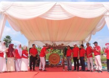 Demi Tingkatkan Pembangunan Daerah, Bupati Benny Dwifa Yuswir Harapkan Kader PKK Bersinergi Dengan Pemerintah